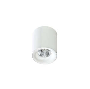 Azzardo Azzardo  - LED Stropní svítidlo MANE 1xLED/10W/230V