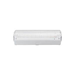 LED Nouzové svítidlo LED/3W/240V 6000K IP65