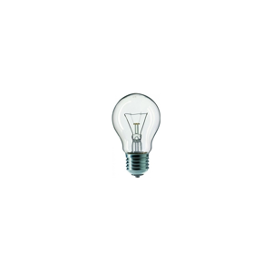 Průmyslová žárovka CLEAR E27/40W/240V